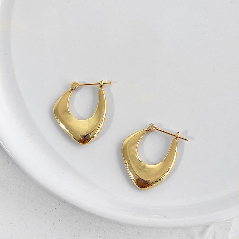 Irregular geometric metal earrings women